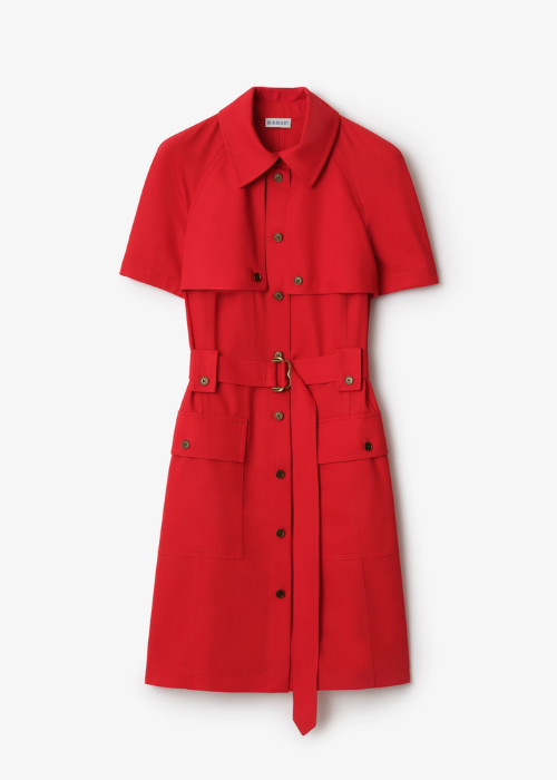 Designer Dresses For Women | Burberry