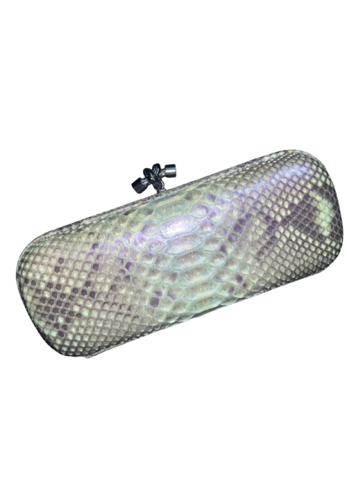 Knot Python Leather Minaudiere S Clutch