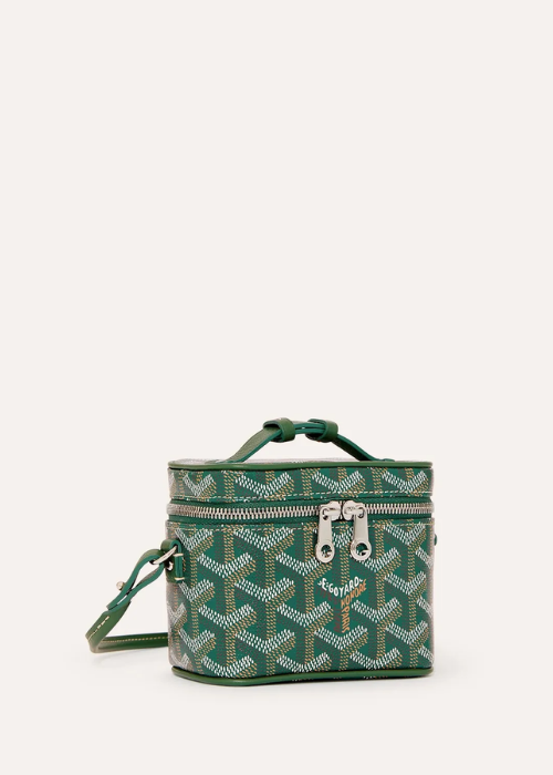 Goyard Alto Vanity Bag in Green